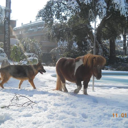 Relais La Canfora Roma Dış mekan fotoğraf