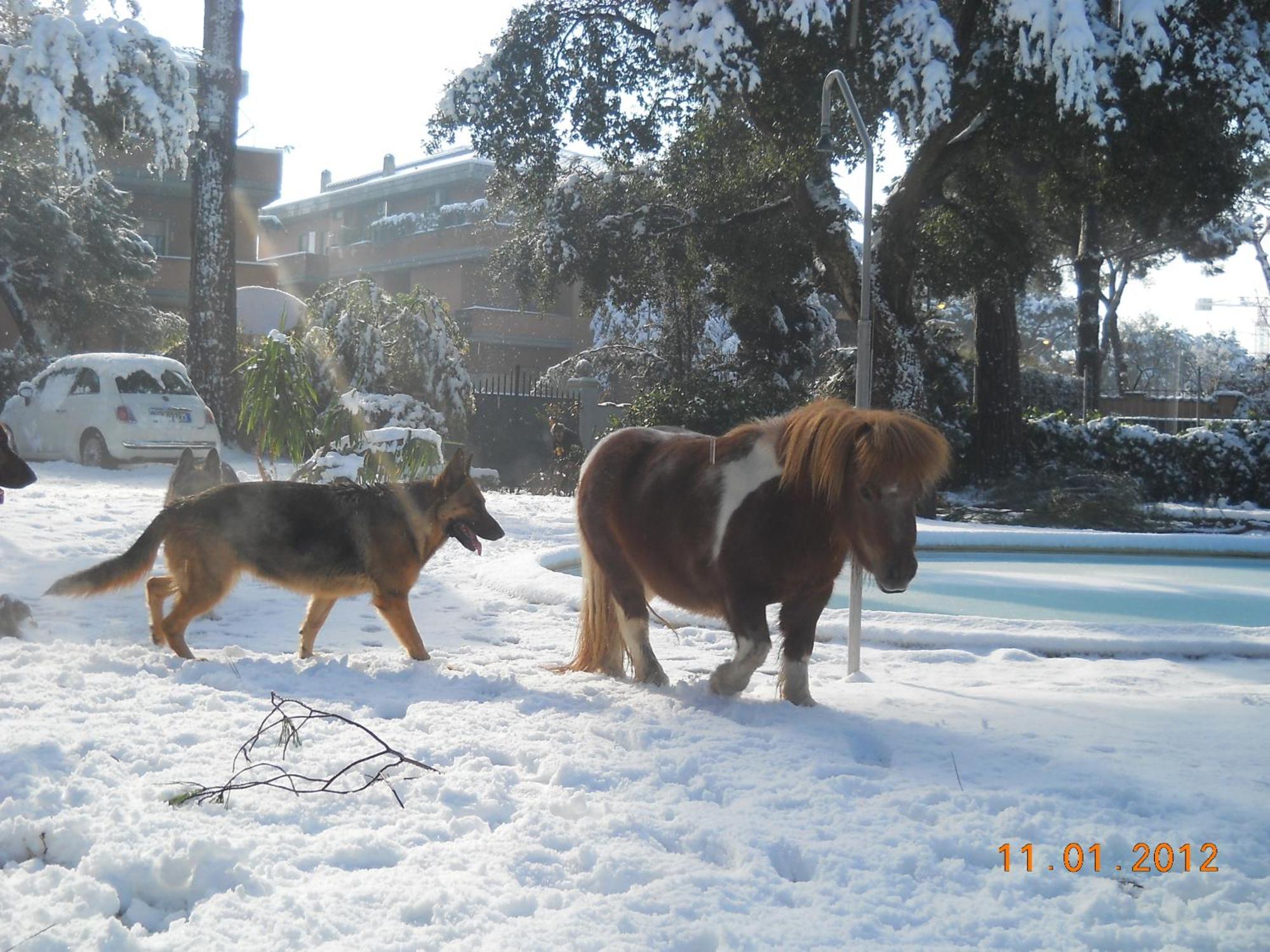 Relais La Canfora Roma Dış mekan fotoğraf