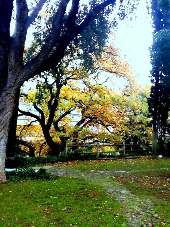 Relais La Canfora Roma Dış mekan fotoğraf
